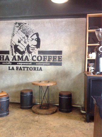 Akha Ama Coffee